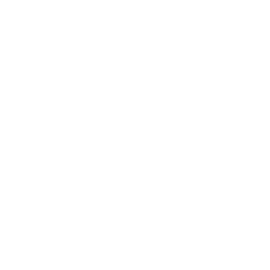 Bonsono.png